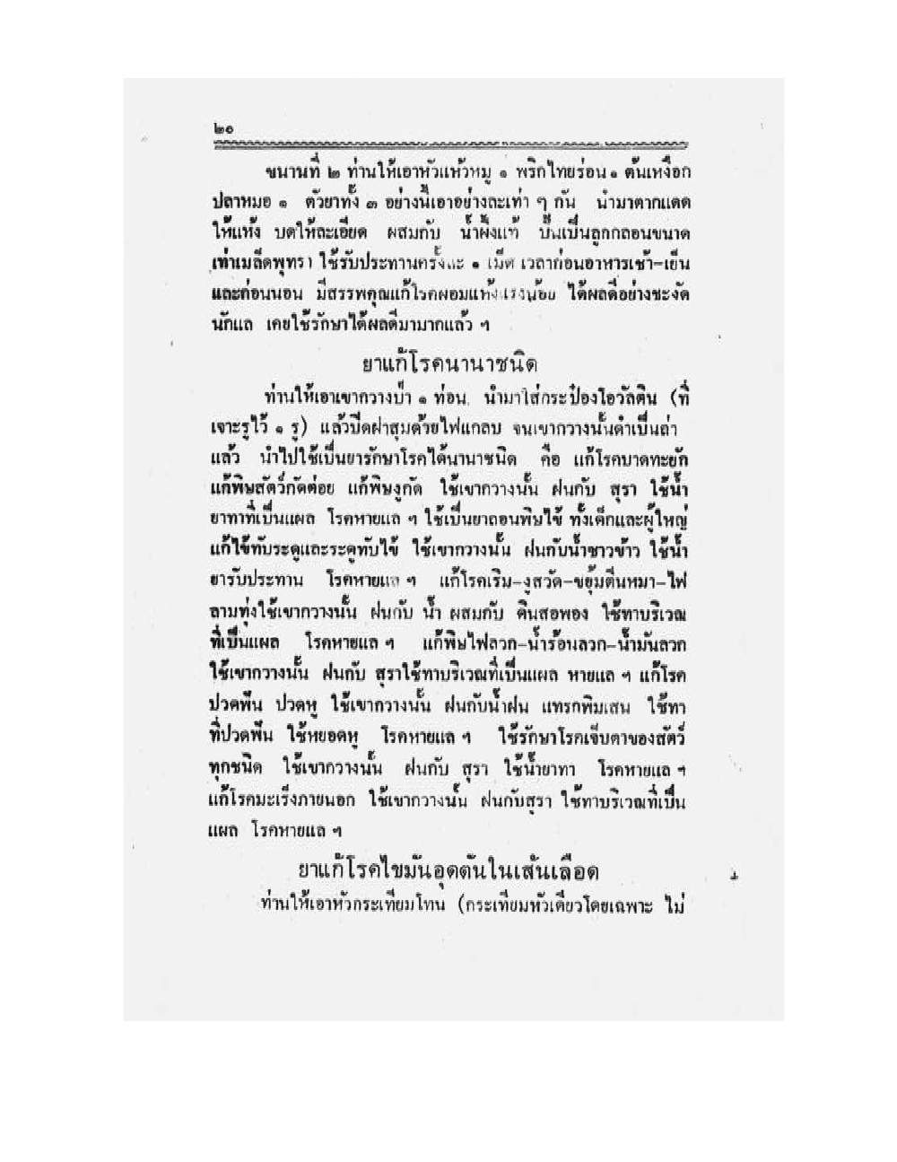 Medicine Manual Of Luang Pu Sukh, PDF page 33 — original scan