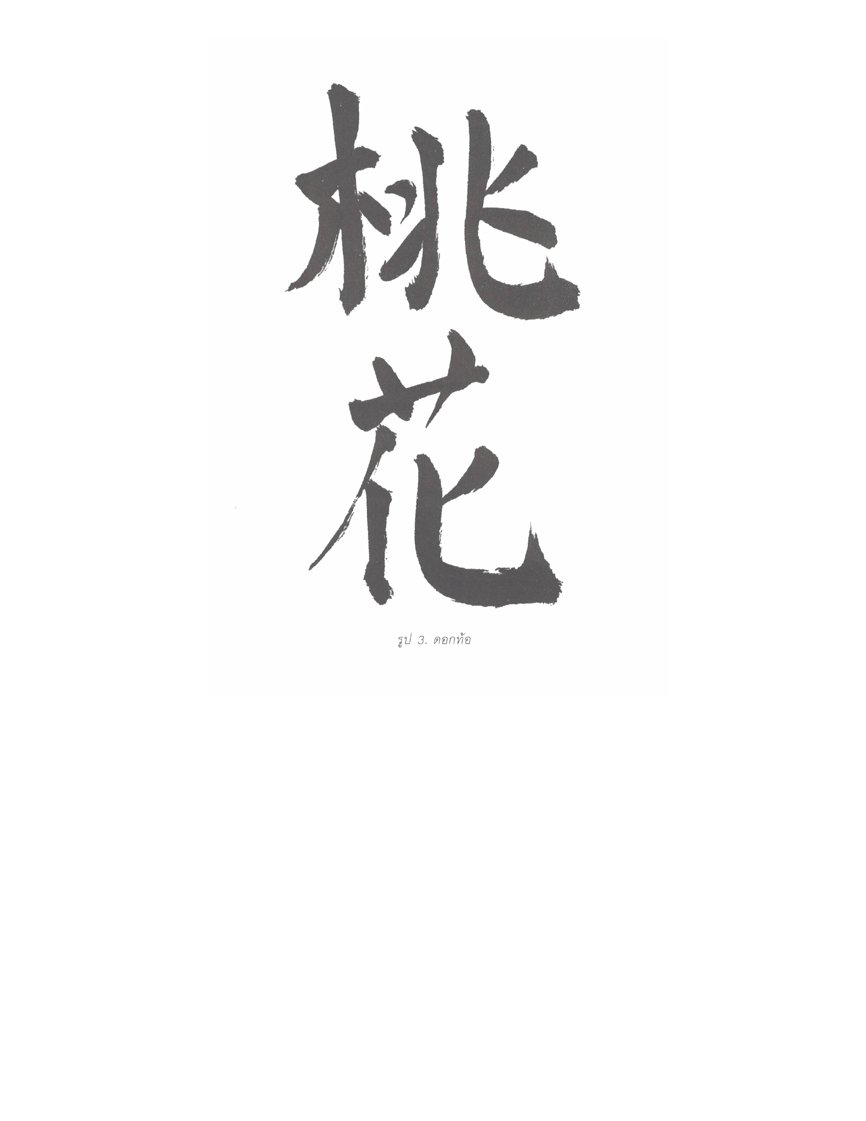 Chinese Arts For Beauty And Wealth, PDF page 17 — original scan