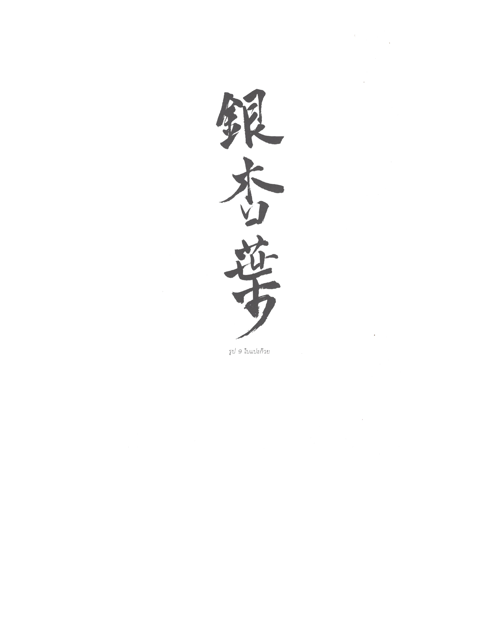 Chinese Arts For Beauty And Wealth, PDF page 38 — original scan