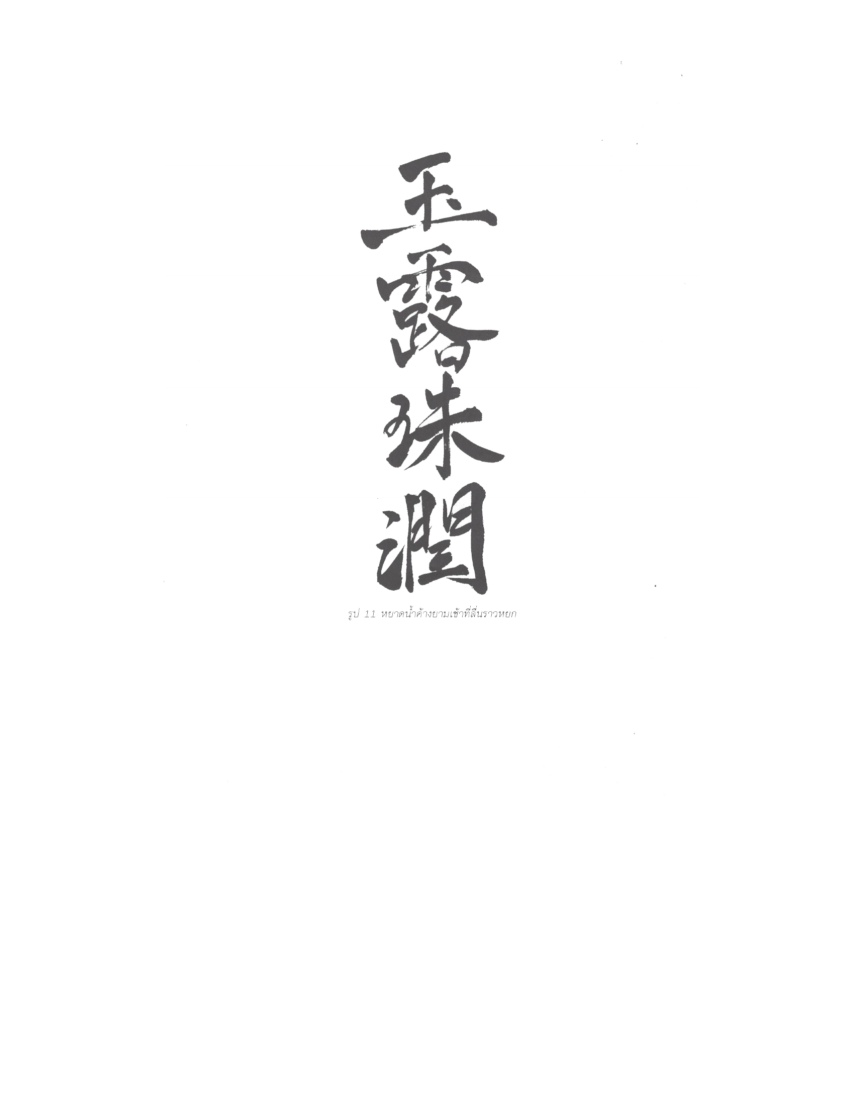 Chinese Arts For Beauty And Wealth, PDF page 45 — original scan