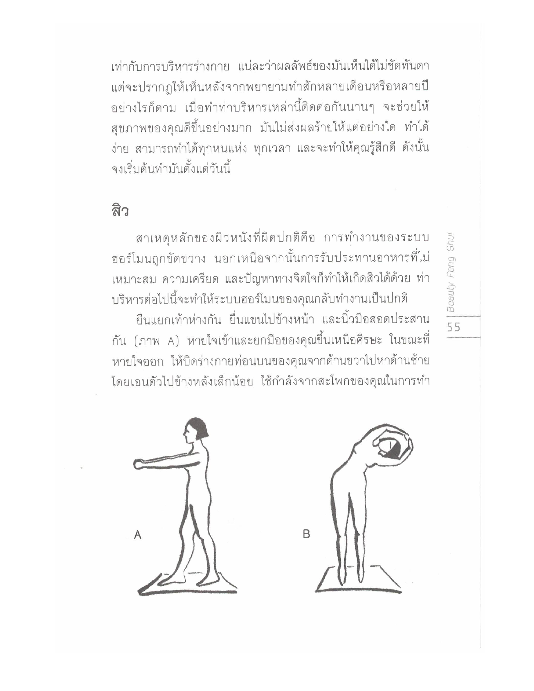 Chinese Arts For Beauty And Wealth, PDF page 53 — original scan