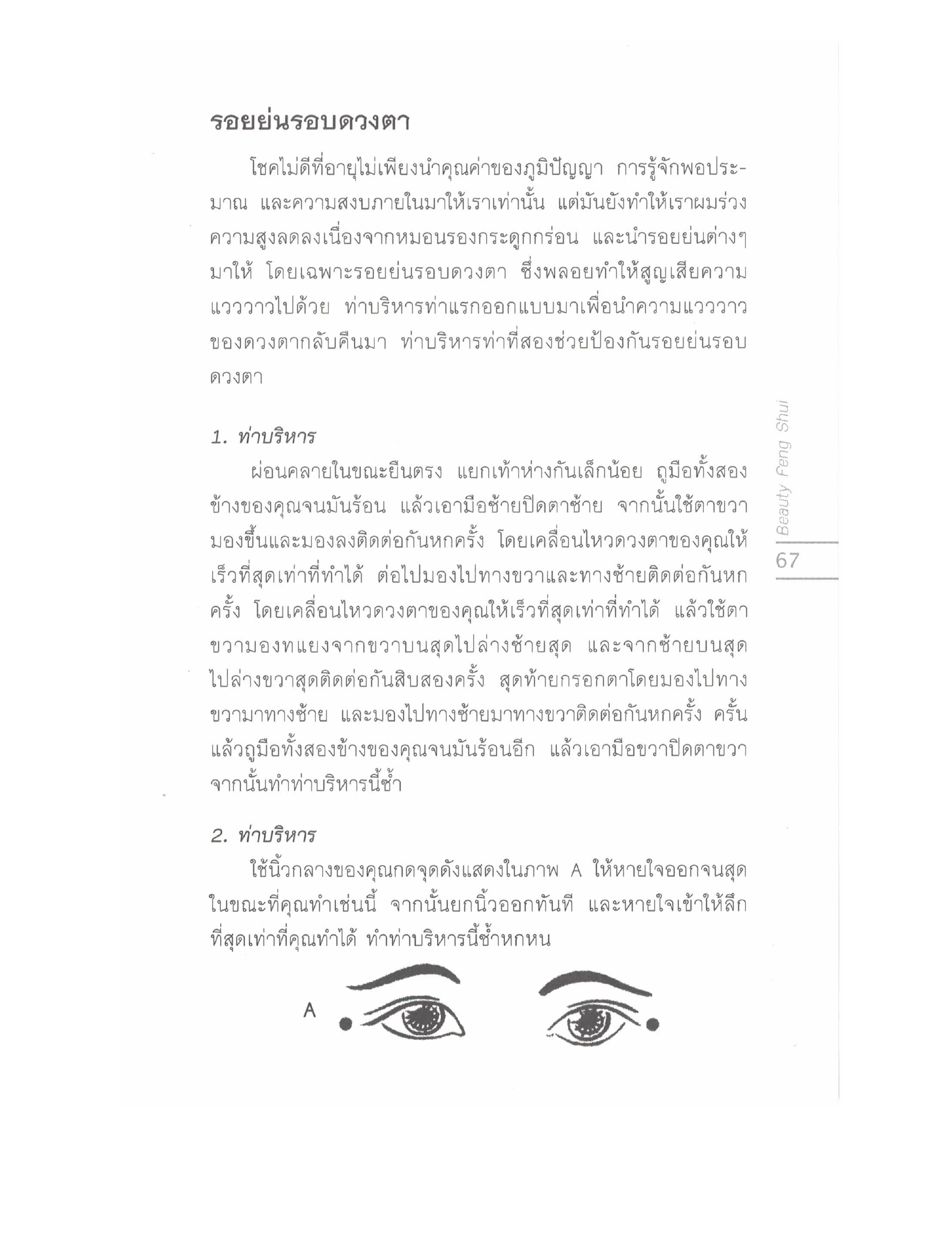 Chinese Arts For Beauty And Wealth, PDF page 65 — original scan