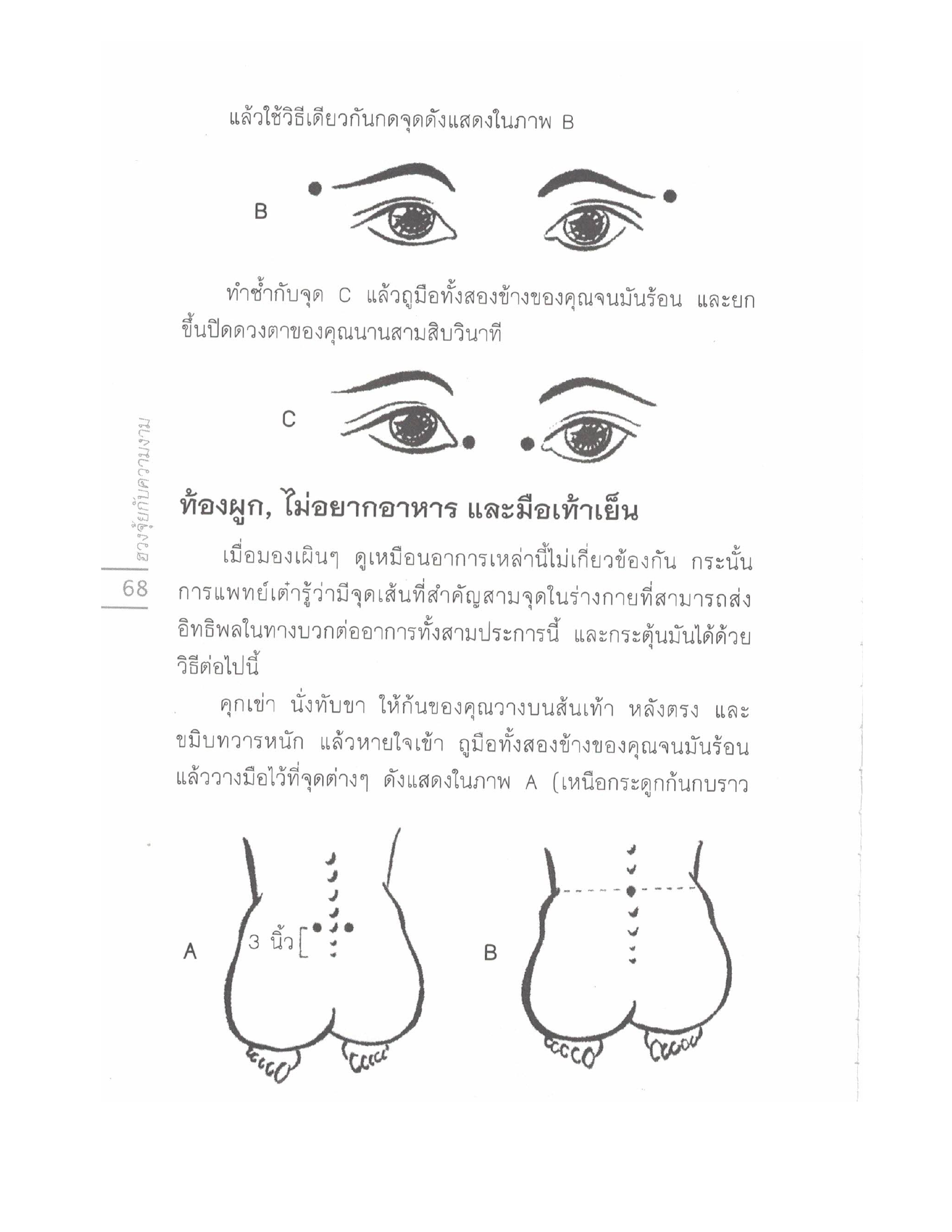 Chinese Arts For Beauty And Wealth, PDF page 66 — original scan