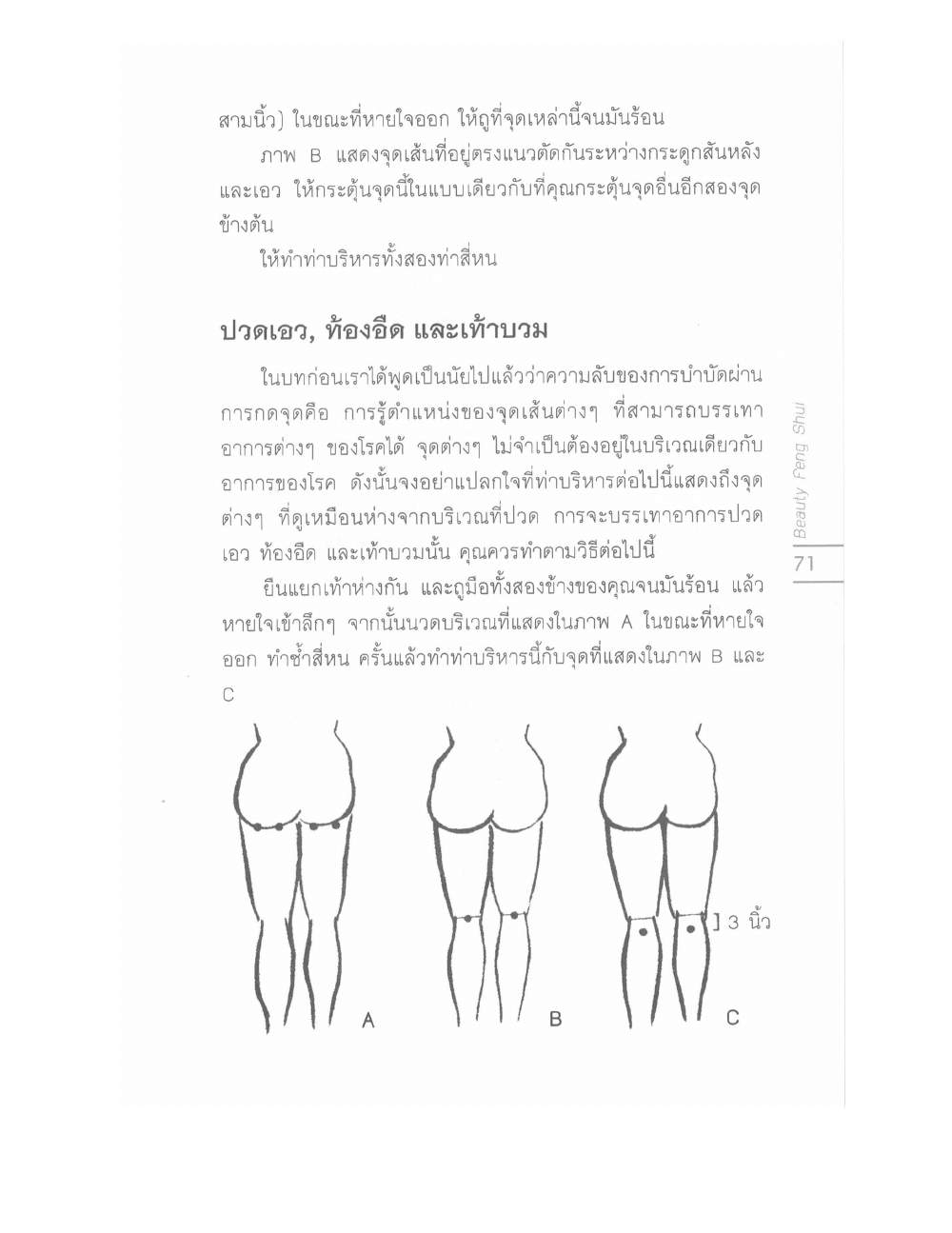 Chinese Arts For Beauty And Wealth, PDF page 69 — original scan