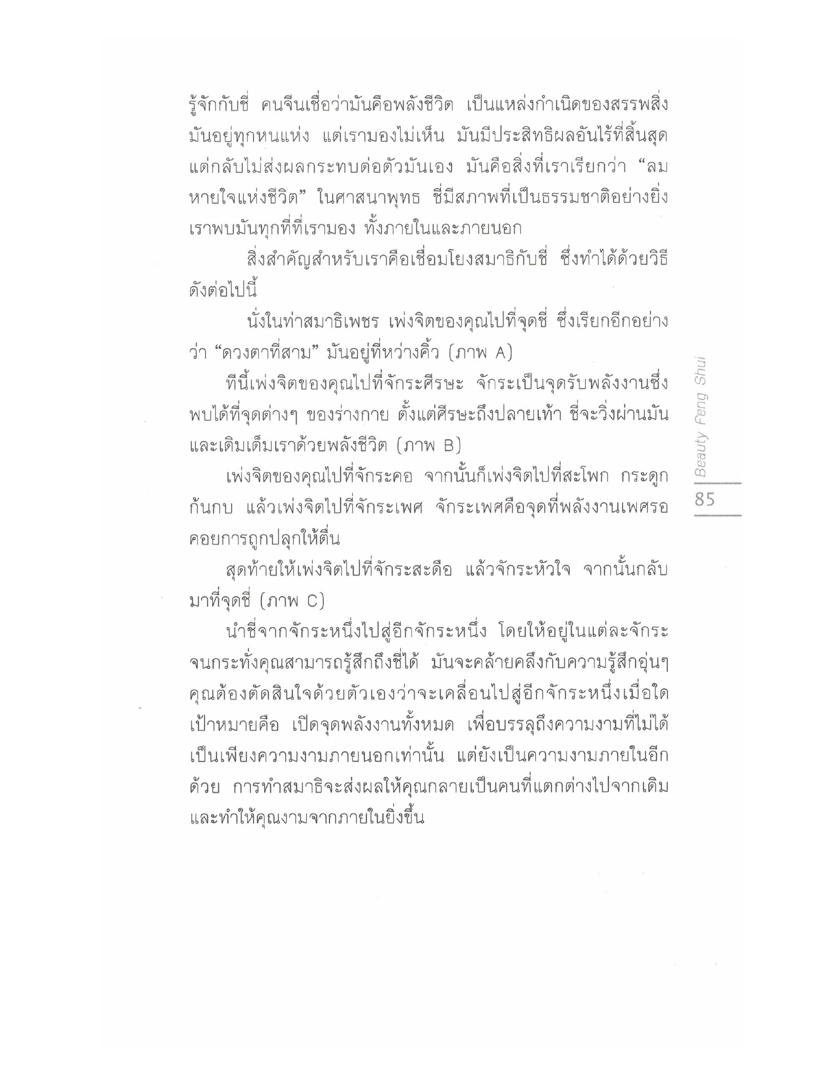 Chinese Arts For Beauty And Wealth, PDF page 83 — original scan