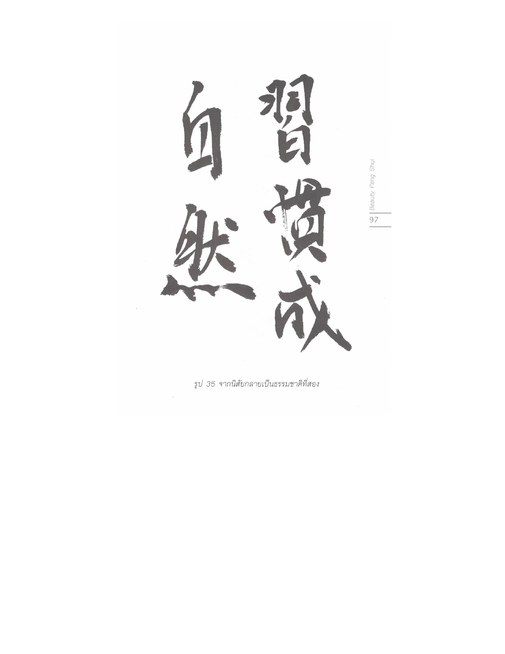Chinese Arts For Beauty And Wealth, PDF page 95 — original scan