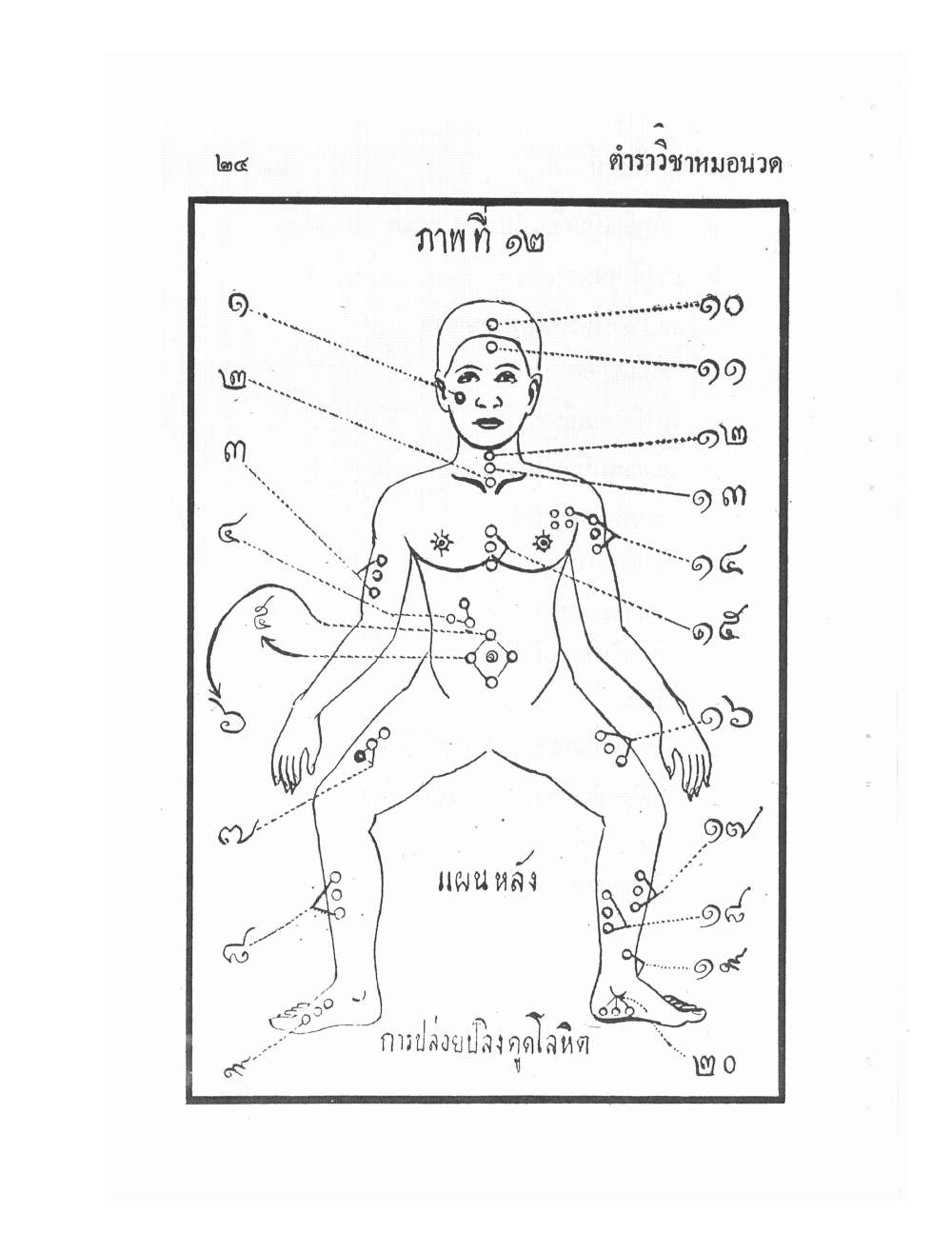 Ancient Traditional Medicine, PDF page 33 — original scan