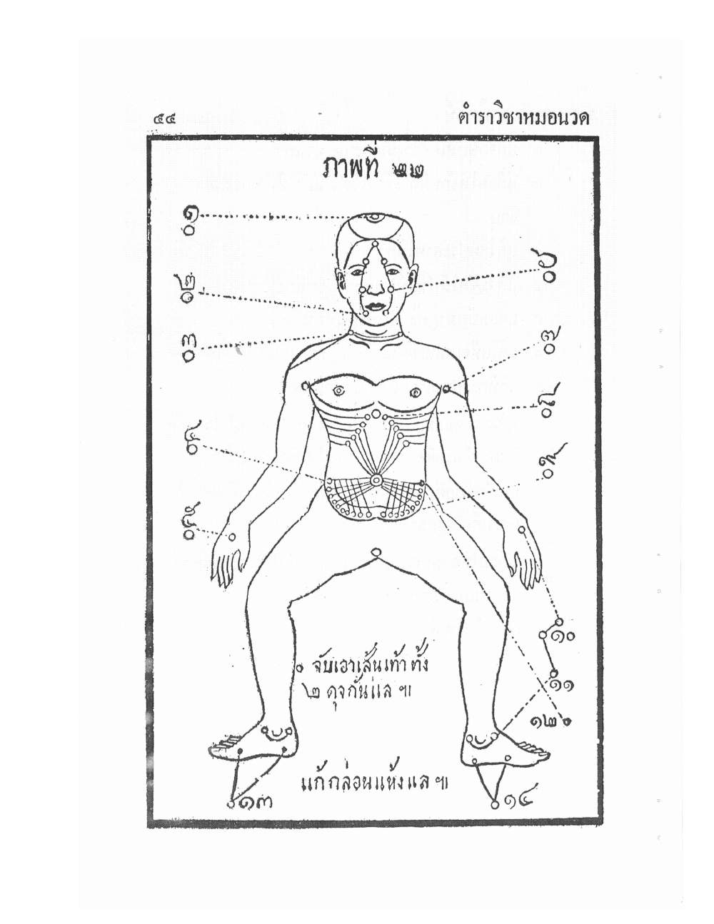 Ancient Traditional Medicine, PDF page 53 — original scan