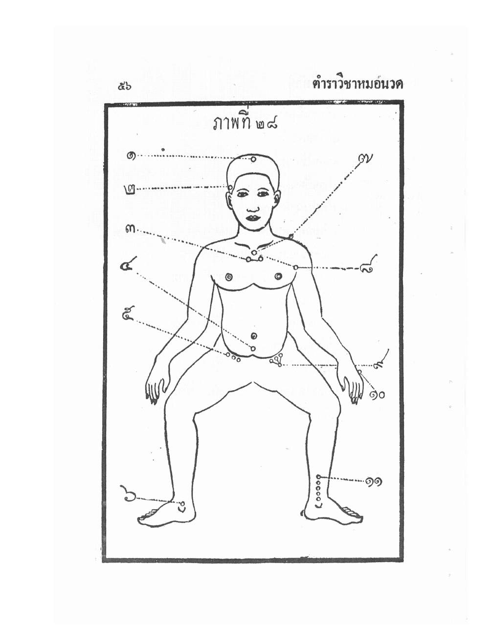 Ancient Traditional Medicine, PDF page 65 — original scan