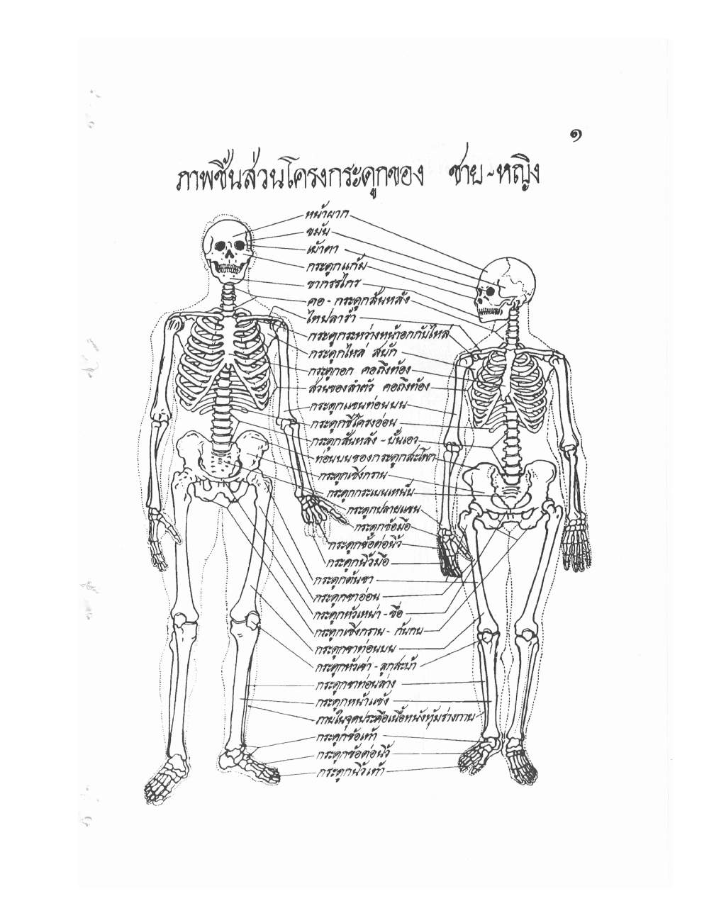 Ancient Thai Massage Manual, PDF page 4 — original scan